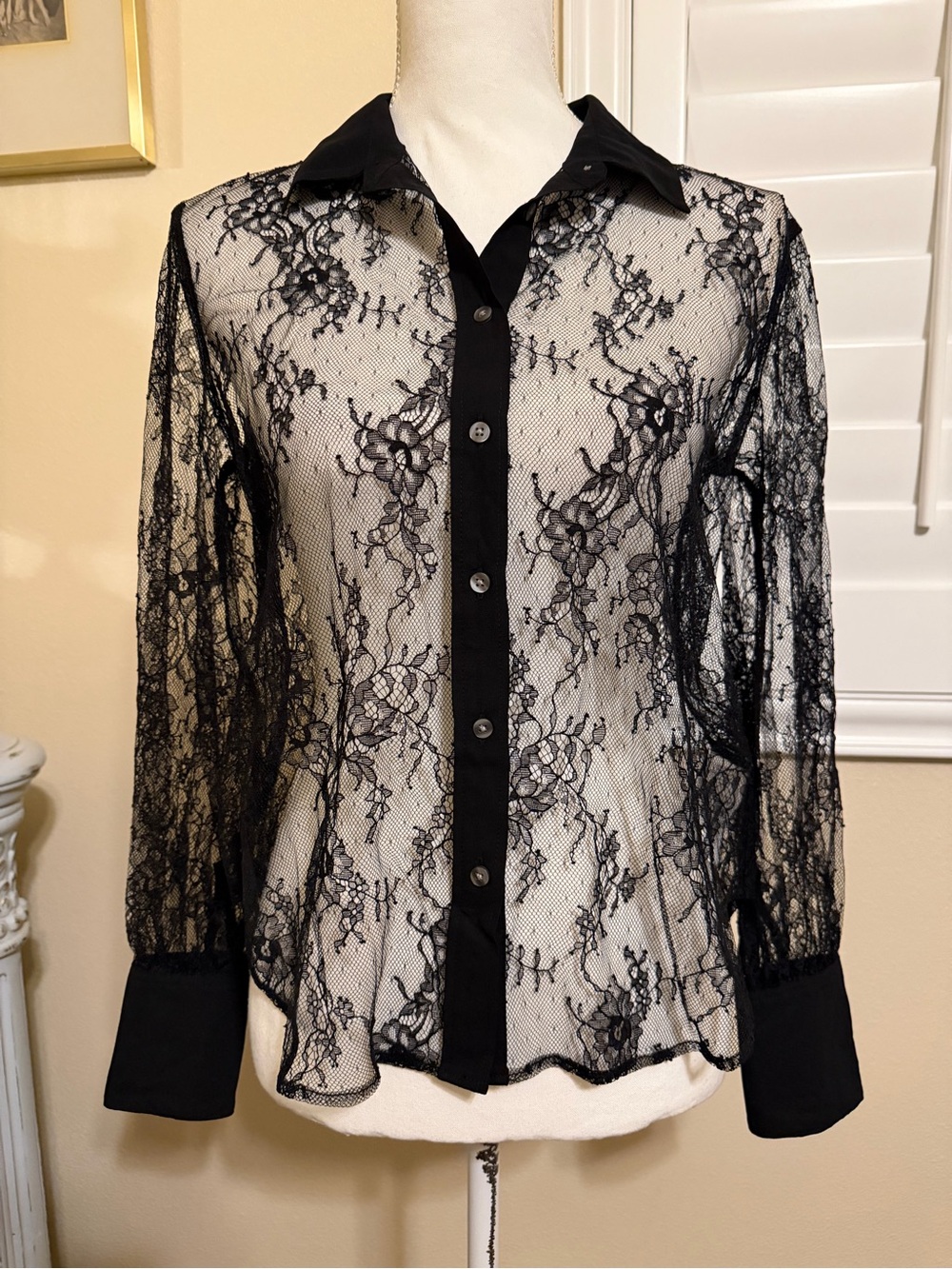 GAP Sheer Black Lace Button-Front Blouse